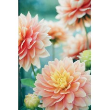 Авторский букет Горшечное растение классический