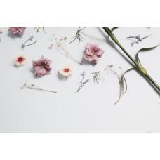 Цветы в коробке Букет премиум