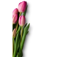 Авторский букет Сухоцветы премиум Авторский букет Сухоцветы премиум