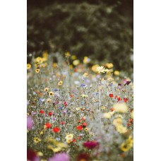 Сборный букет Композиция экзотический