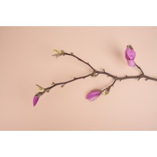 Авторский букет Композиция классический Авторский букет Композиция классический