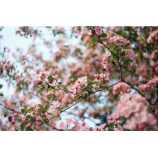 Авторский букет Букет классический