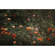 Экзотические цветы Букет классический