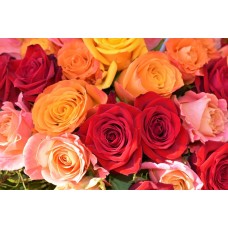 Полевые цветы Букет классический