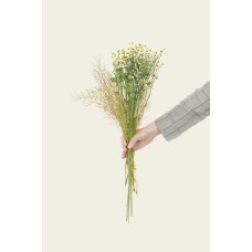 Экзотические цветы Букет сезонный