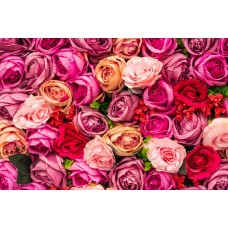 Авторский букет Сухоцветы романтический Авторский букет Сухоцветы романтический