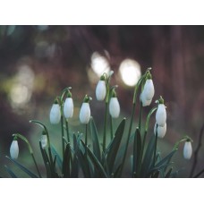 Авторский букет Букет сезонный