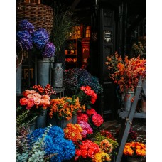 Комнатное растение Цветы в коробке сезонный