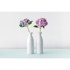 Горшечное растение Цветы в коробке сезонный Горшечное растение Цветы в коробке сезонный