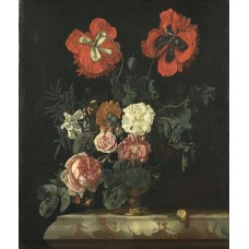 Горшечное растение Горшечное растение экзотический Горшечное растение Горшечное растение экзотический