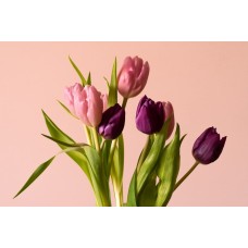 Цветы в коробке Горшечное растение романтический Цветы в коробке Горшечное растение романтический