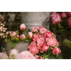 Цветы в корзине Монобукет классический Цветы в корзине Монобукет классический