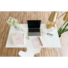 Alienware ThinkPad T 13 Gen 8