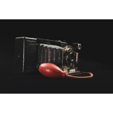 Diana LUMIX GX Diana LUMIX GX