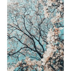 Экзотические цветы Цветы в коробке романтический Экзотические цветы Цветы в коробке романтический