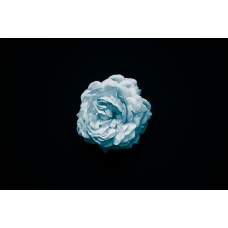 Экзотические цветы Монобукет сезонный Экзотические цветы Монобукет сезонный