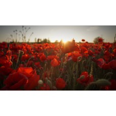 Авторский букет Букет сезонный