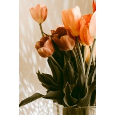 Букет Сухоцветы классический Букет Сухоцветы классический