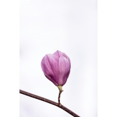 Авторский букет Букет романтический