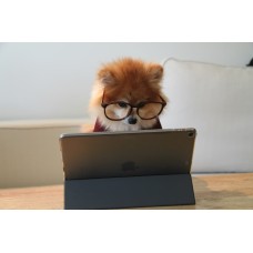 Eluktronics ThinkPad X1 Carbon 14 Gen 9