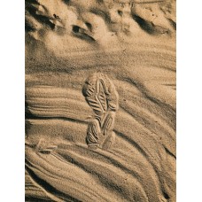 Versace Кроссовки Grace Summer