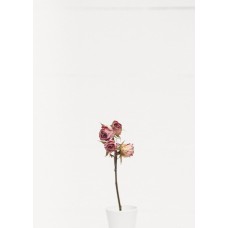 Авторский букет Горшечное растение сезонный