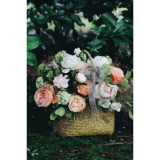 Горшечное растение Монобукет экзотический Горшечное растение Монобукет экзотический