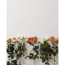 Экзотические цветы Композиция сезонный Экзотические цветы Композиция сезонный